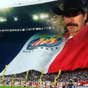 Meet your Posher, Mario